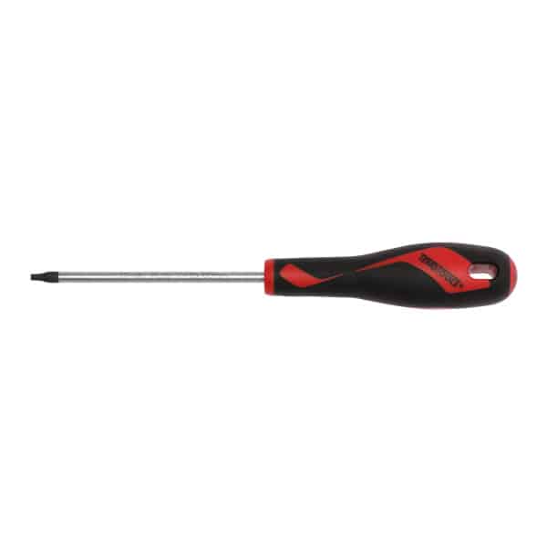 TENG TOOL SCREWDRIVER TX15 X 100MM