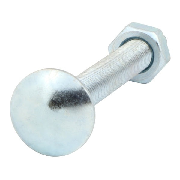 CARRIAGE BOLT ZP M10X100 BAG 10