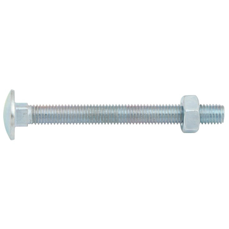 CARRIAGE BOLT ZP M6X100MM BAG 10