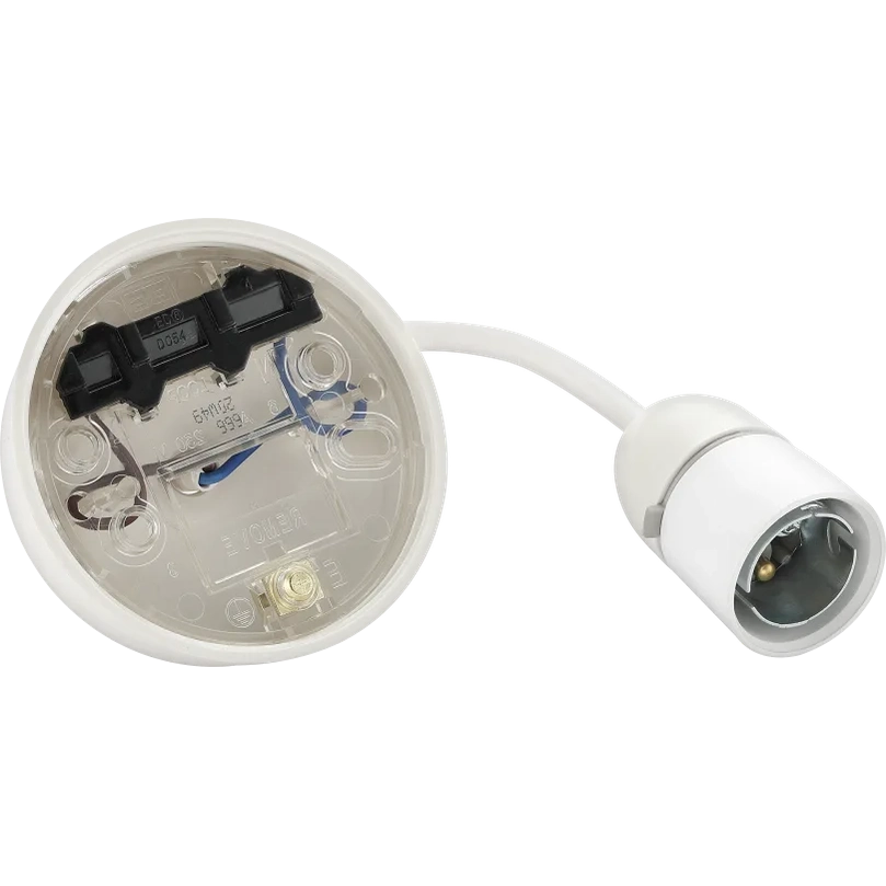 BG LAMPHOLDER 100 WATT T2 - Watson Hire