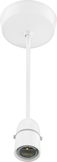 BG LAMPHOLDER 100 WATT T2