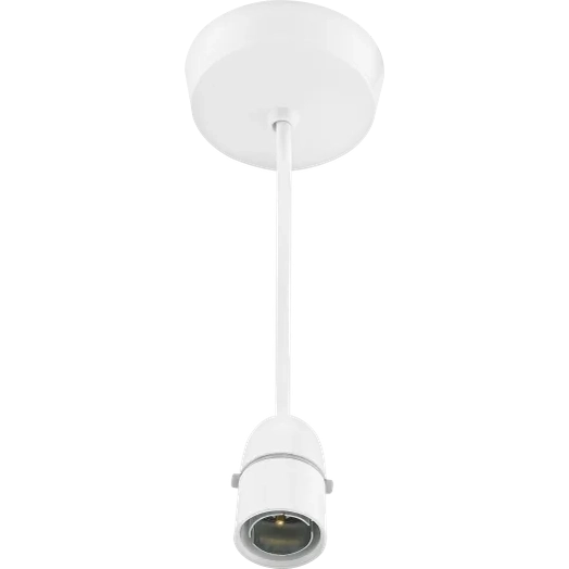 BG LAMPHOLDER 100 WATT T2 - Watson Hire