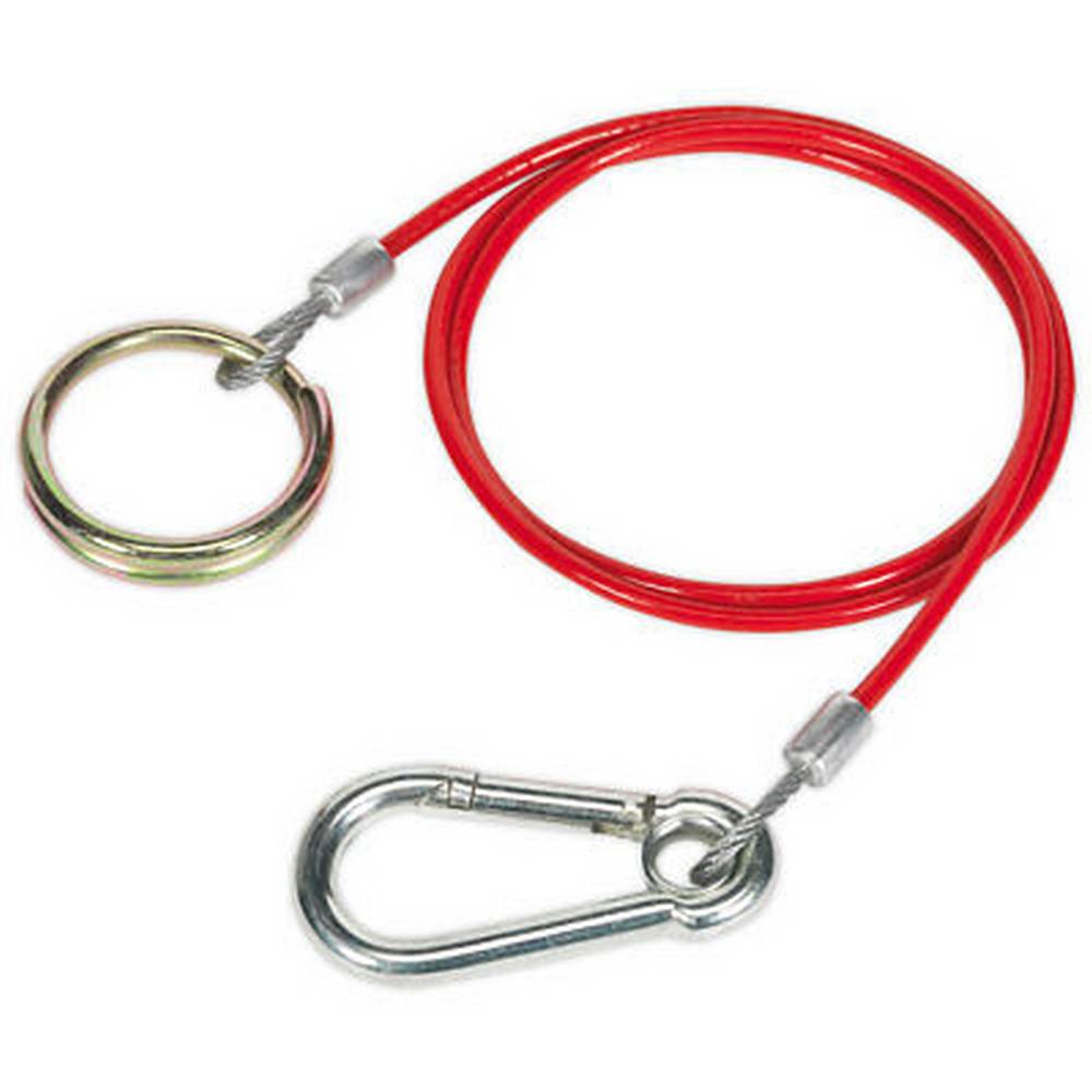 SEALEY 1MTR X 3MM BREAKAWAY CABLE