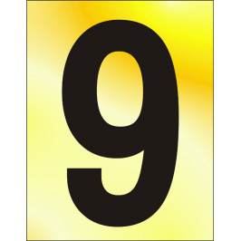 50MM POL. GOLD EFFECT - CHARACTER '9'