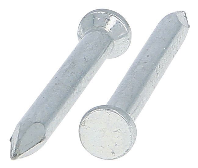TRUFIX MASONRY NAILS 3.0X40MM 100