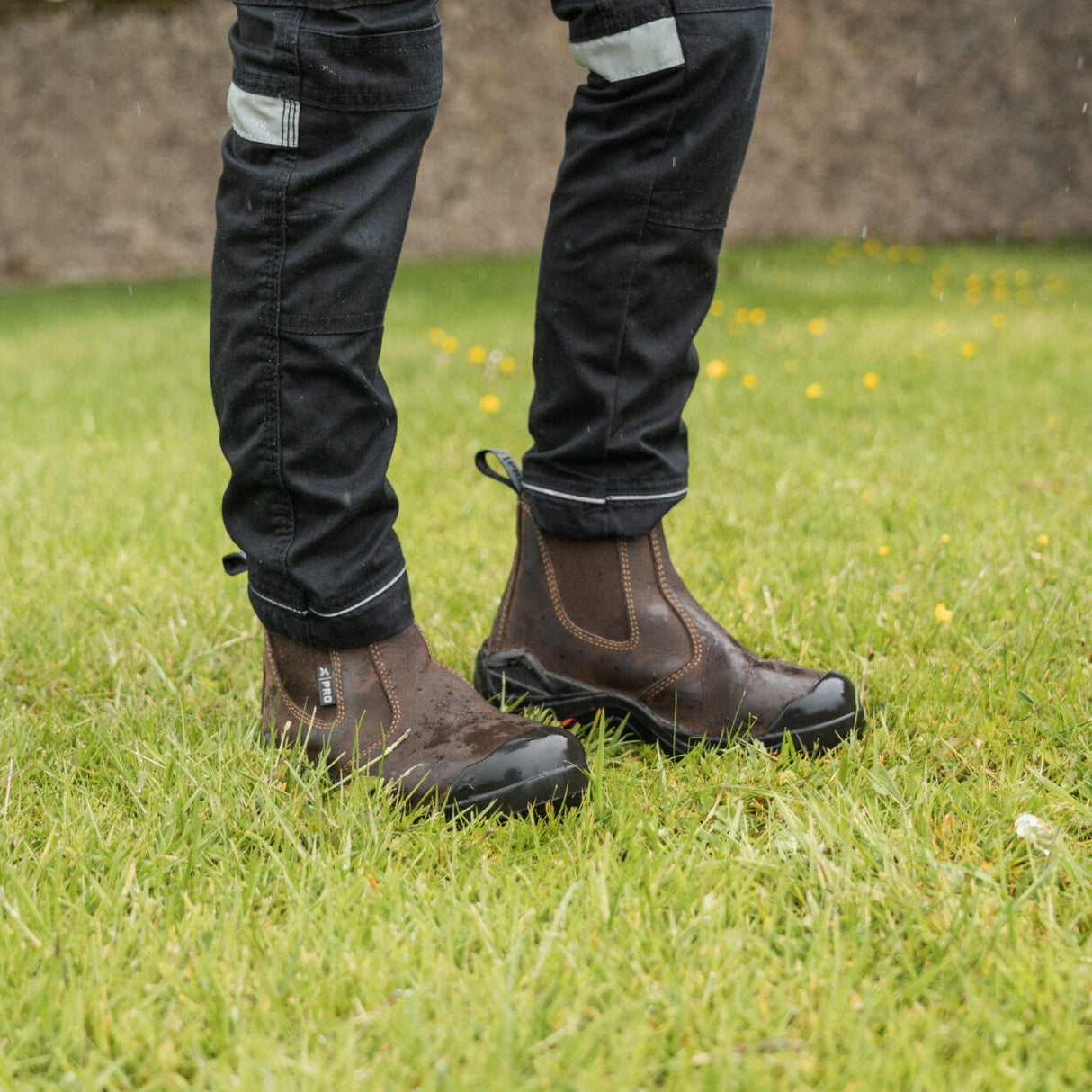 XPERT PRO DROVER JNR NON-SAFETY DEALER BOOT BROWN