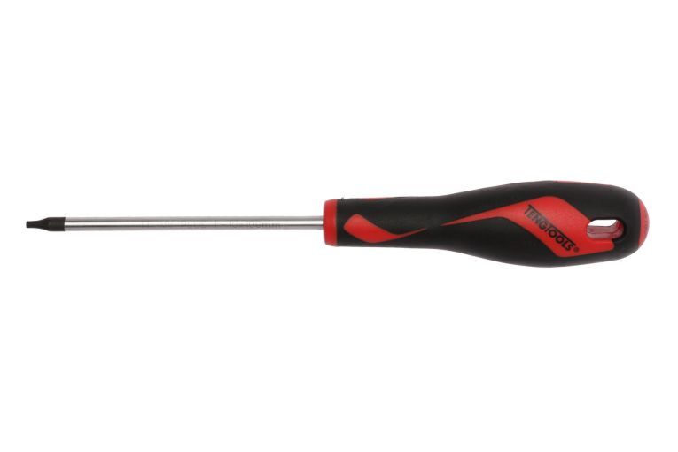 TENG TOOL SCREWDRIVER TX10 X 100MM