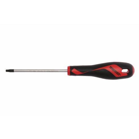 TENG TOOL SCREWDRIVER TX20X 100MM