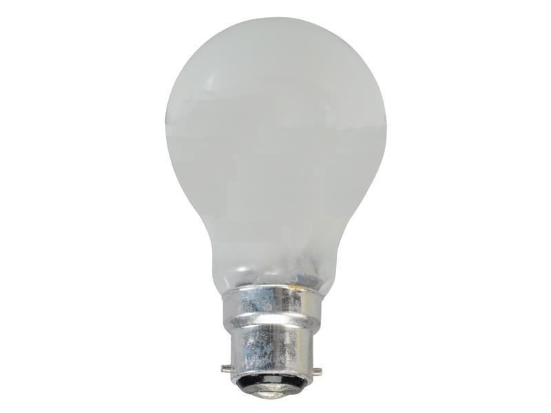 Raven 110V 60W Bc Bulb