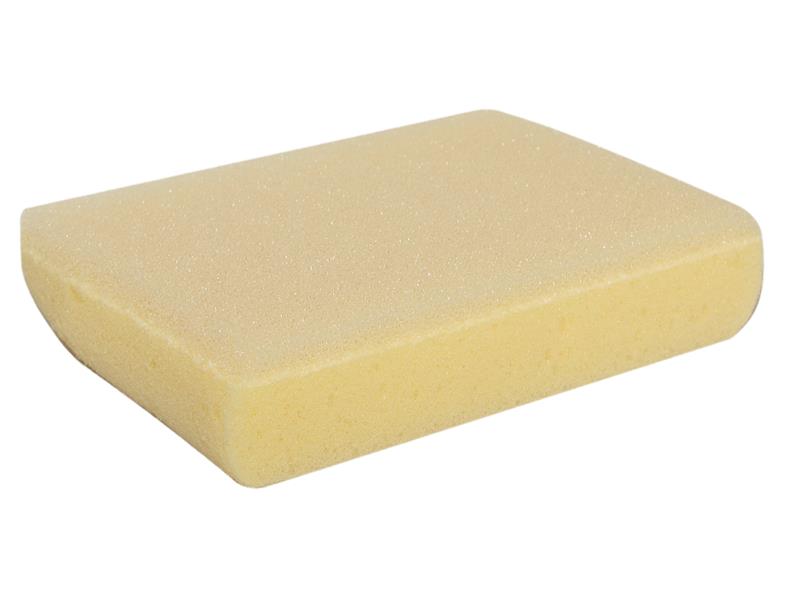 TALAtools Tile Cleaning and Polishing Sponge