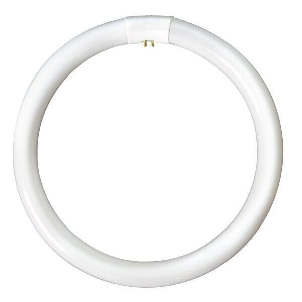 EVEREADY 40W CIRCULAR TUBE