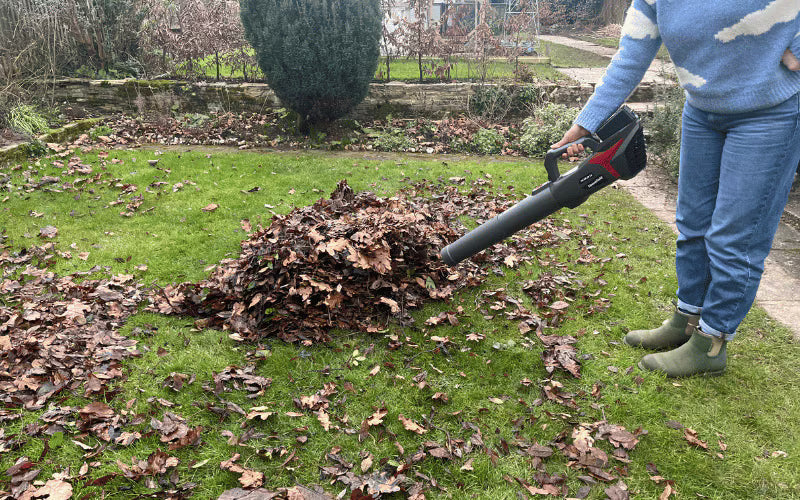 MOUNTFIELD FREEDOM 100 AXIAL BLOWER INC 4AH B&C - Watson Hire